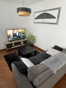 ein Wohnzimmer mit einem Sofa und einem Flachbild-TV in der Unterkunft Literie Haut de gamme entre gare et centre ville in Dunkerque