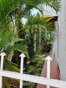a porch with a white fence and palm trees at Tatami Hostel in Bucaramanga