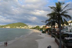 a beach with a palm tree and the ocean at Apartamento Costa Esmeralda in Bombinhas