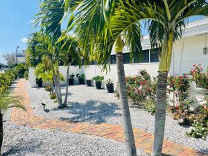 eine Reihe von Palmen vor einem Gebäude in der Unterkunft Siesta Inn Sarasota - Indian Beach in Sarasota