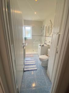 a bathroom with a toilet and a sink at The Cottage in Pembrokeshire +24 photos