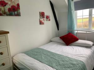 a bedroom with a bed with a red pillow and a window at Honeysuckle Cottage in Ilfracombe