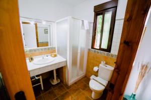 een badkamer met een wastafel, een toilet en een spiegel bij Casa Rural San Antonio in Cabra
