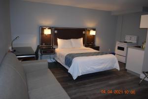 Легло или легла в стая в Time Travellers Motel