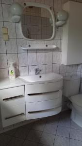 uma casa de banho com um lavatório, um espelho e um WC. em Dom nad jeziorem em Gostynin