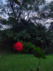 Um jardim em Pousada Bela Vista