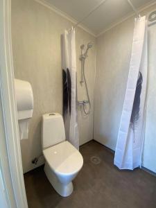 a bathroom with a toilet and a shower at Botnen Camping in Botnen