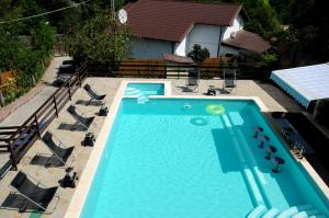 an overhead view of a swimming pool with a frisbee in the water at Vila Europa in Sărata-Monteoru