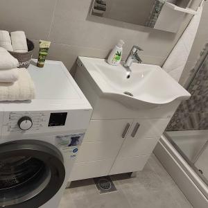 ein Badezimmer mit einer Waschmaschine und einem Waschbecken in der Unterkunft Apartman Green Lux in Banja Luka