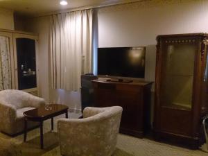 TV a/nebo společenská místnost v ubytování Asakusa Central Hotel