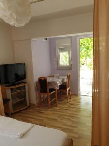 TV a/nebo společenská místnost v ubytování Apartments Andelic