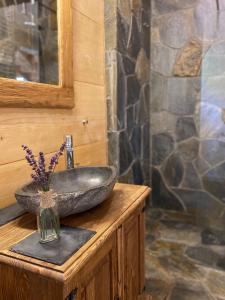 La salle de bains est pourvue d'un lavabo en pierre et d'un vase de fleurs. dans l'établissement Jurkowa Wola, à Jureczkowa