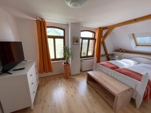 a bedroom with a bed and a tv and windows at Maisonette Salzknecht in Halle an der Saale