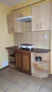 a kitchen with a stove and wooden cabinets at Agroturystyka U Jadwigi Lipsk in Lipsk