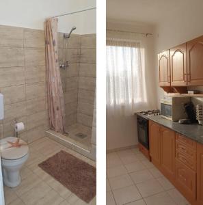 2 fotografias de uma casa de banho com um WC e um chuveiro em Appartement em Tiszagyenda