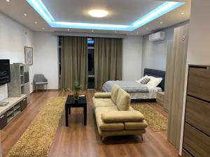 TV a/nebo společenská místnost v ubytování Hotel Vasho