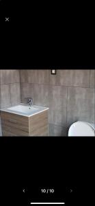 a bathroom with a sink and a toilet at Appartement Studio Tournai in Tournai