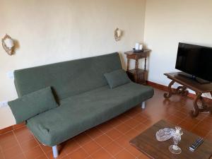 a green couch in a living room with a television at L'edicola di Ripalvella in San Venanzo