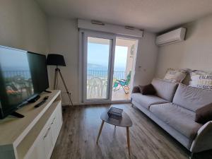 a living room with a couch and a flat screen tv at Appartement Banyuls superbe vue sur mer in Banyuls-sur-Mer