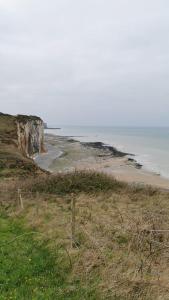 a view of a beach with the ocean at Hôtel de la poste in Saint-Valery-en-Caux