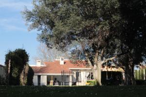 A garden outside Casa rural Villa Verde