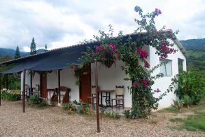 Pokrajina v okolici of country house