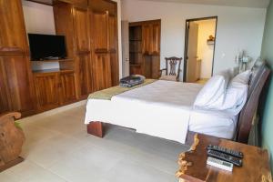 1 dormitorio con 1 cama grande y TV en Hotel Hacienda Buena Vista, en Pueblo Tapado