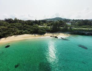 - une vue aérienne sur une plage avec des arbres et de l'eau dans l'établissement 渡 - Duo Okinawa, à Onna