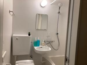 東京的住宿－Tokyo Ueno Youth Hostel，带淋浴、卫生间和盥洗盆的浴室