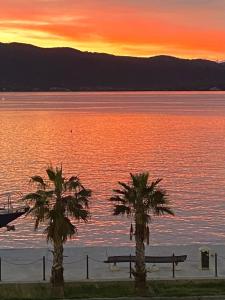 two palm trees in front of a lake at sunset at SEAFRONT in Portoferraio