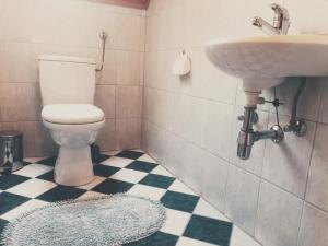 a bathroom with a toilet and a sink at Bauernhof Oberfriessnig in Radenthein