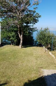 Fotografie z fotogalerie ubytování Apartman Viktorija v destinaci Miletići