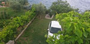 Fotografie z fotogalerie ubytování Apartman Viktorija v destinaci Miletići