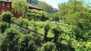 Zahrada ubytování B&B Casa Cantoniera