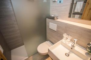 Hôtel Alpina - Swiss Ski & Bike Lodge Grimentz的一间浴室