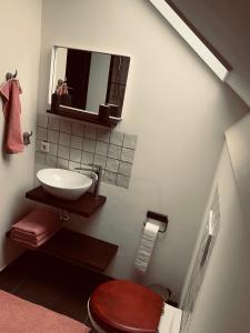 a bathroom with a sink and a toilet and a mirror at B&B Pont in Wessem