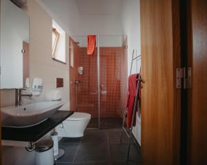 uma casa de banho com um lavatório, um WC e um chuveiro em Casa Dos Xarês em Rosmaninhal