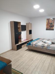 a bedroom with a bed and some wooden cabinets at Casa Cinema in Braşov