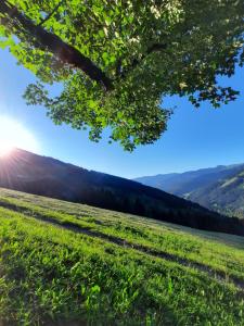Paesaggio naturale nelle vicinanze dell'affittacamere