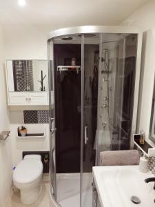 a bathroom with a shower and a toilet at Studio Confort Netflix Business in Brétigny-sur-Orge