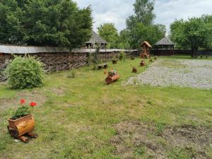 a group of chickens in a yard with a building at Cabana Ocna Mesaros in Ocna Şugatag
