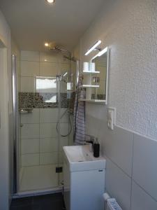 Ένα μπάνιο στο Rheinhessen Apartment +8 φωτογραφίες