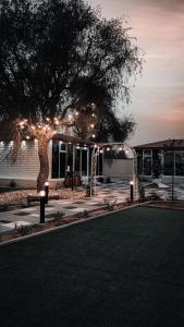 拉斯阿尔卡麦Seven Elements Resort的建筑物前有灯的树