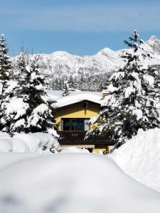 a house covered in snow in front of trees at The Seefeld Retreat - Central Family Friendly Chalet - Mountain Views in Seefeld in Tirol