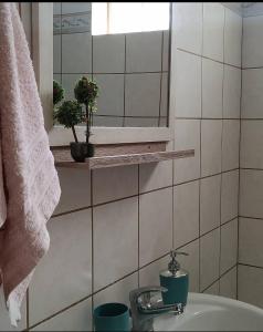 een badkamer met een wastafel met twee planten op een plank bij Sunny Family Apartment in Iraklitsa