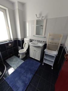 a bathroom with a toilet and a sink and a mirror at Casa Lalelelor in Râşnov +9 photos