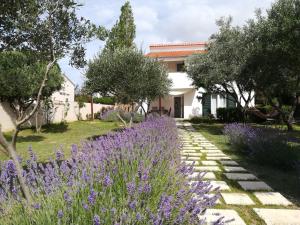 a garden with purple flowers in front of a house at Beach House Mela in Pag