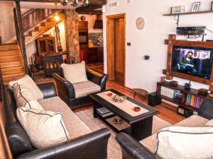 TV a/nebo společenská místnost v ubytování Holiday Home Drijenak