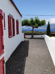 a white building with red windows and a tree at Casa da Ilha in Madalena