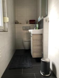 uma pequena casa de banho com lavatório e WC em Body Kult Loft - Modernes Appartement mit 2 separaten Schlafzimmern em Zwickau